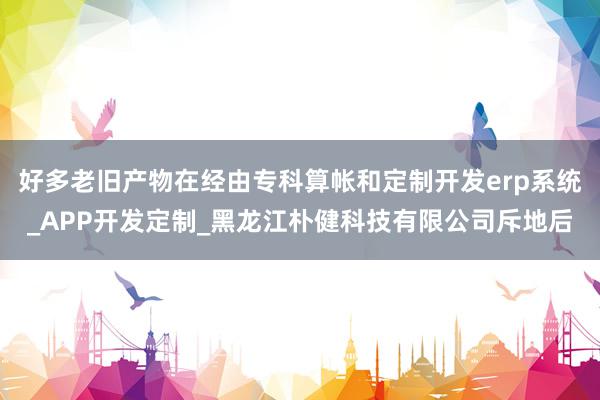 好多老旧产物在经由专科算帐和定制开发erp系统_APP开发定制_黑龙江朴健科技有限公司斥地后